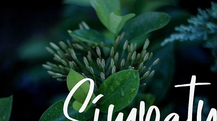 Simpaty Font