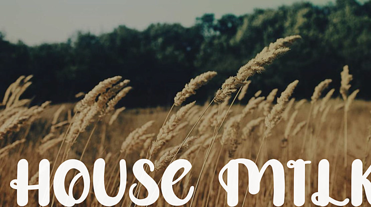 House Milk Font