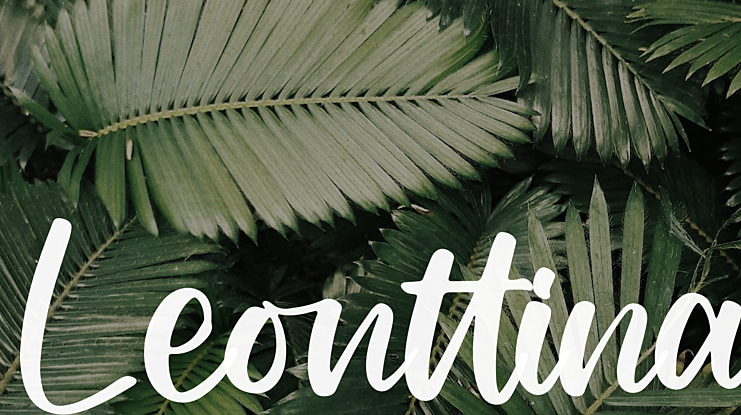 Leonttina Font