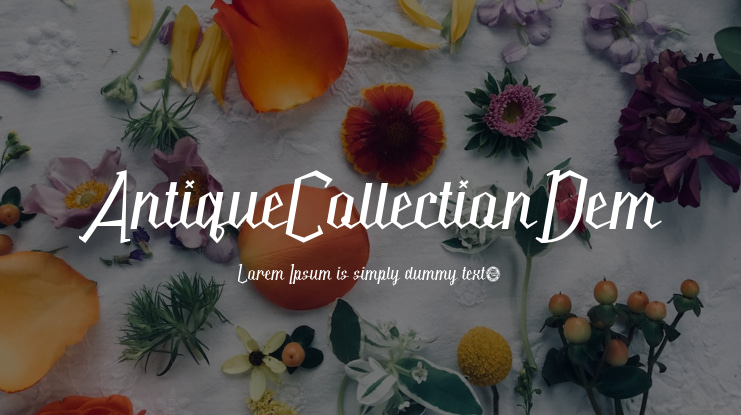 AntiqueCollectionDem Font