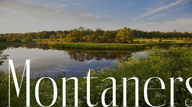 Montaners Font