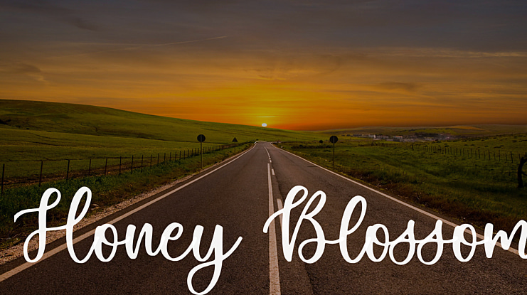 Honey Blossom Font