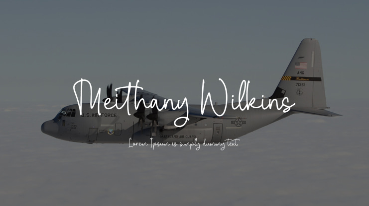 Meithany Wilkins Font