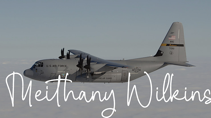 Meithany Wilkins Font