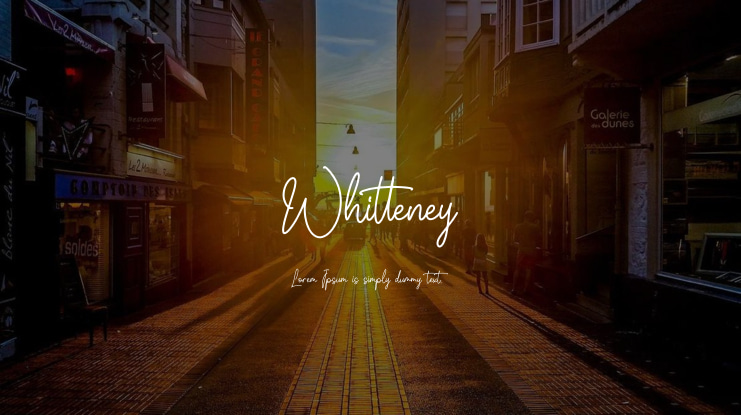 Whitteney Font