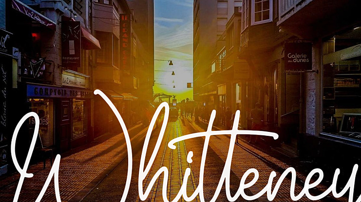 Whitteney Font