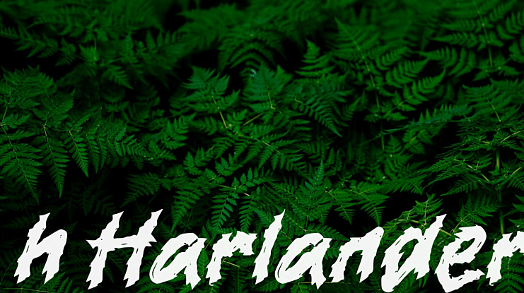 h Harlander Font