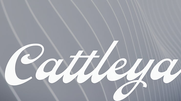 Cattleya Font
