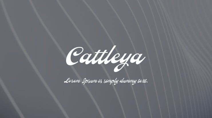 Cattleya Font