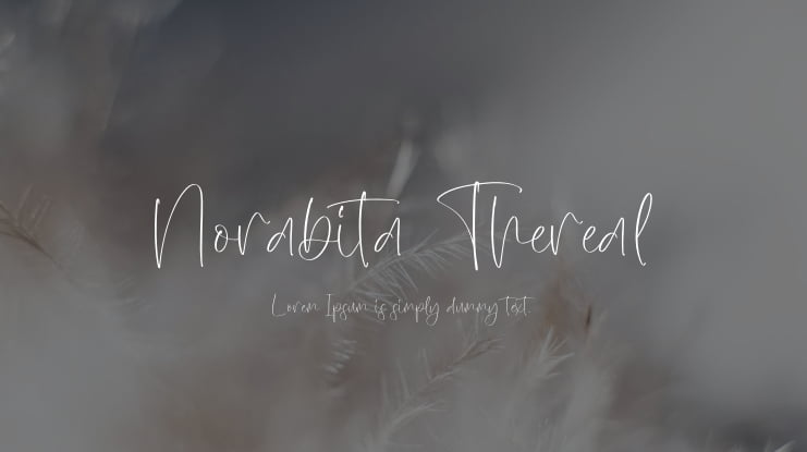 Norabita Thereal Font
