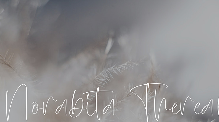 Norabita Thereal Font