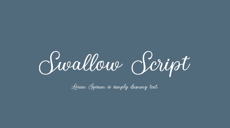 Swallow Script Font