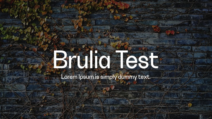 Brulia Test Font Family