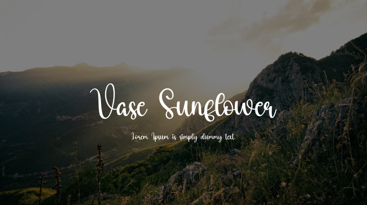 Vase Sunflower Font