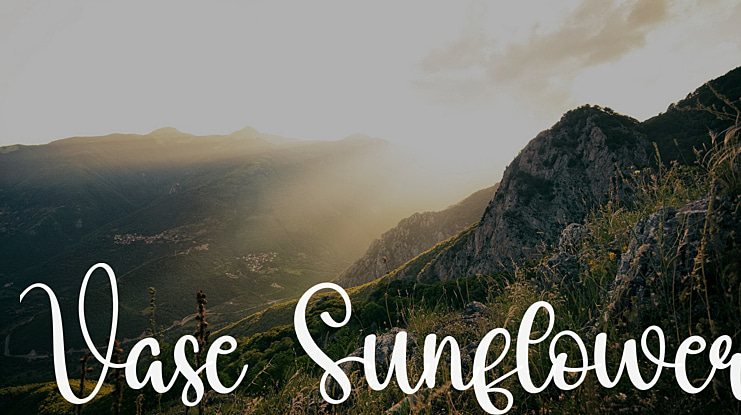 Vase Sunflower Font