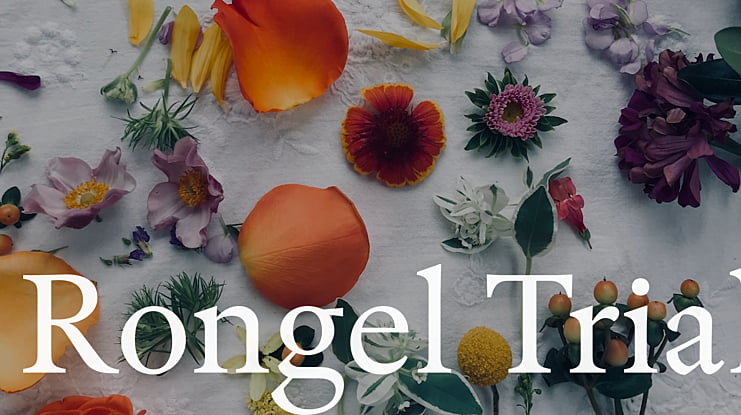 Rongel Trial Font Family