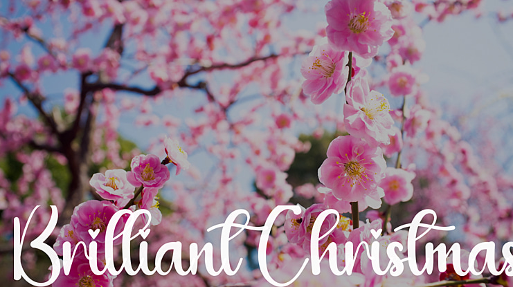 Brilliant Christmas Font
