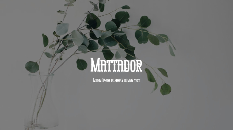 Mattador Font