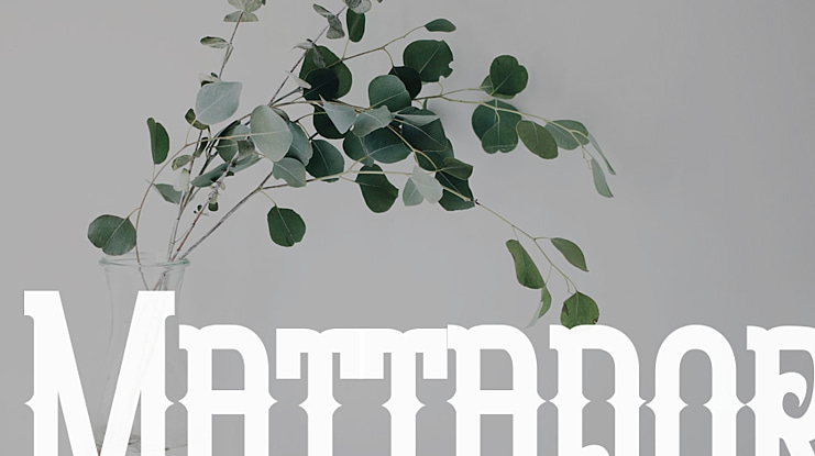 Mattador Font