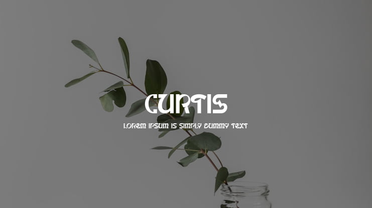 Curtis Font