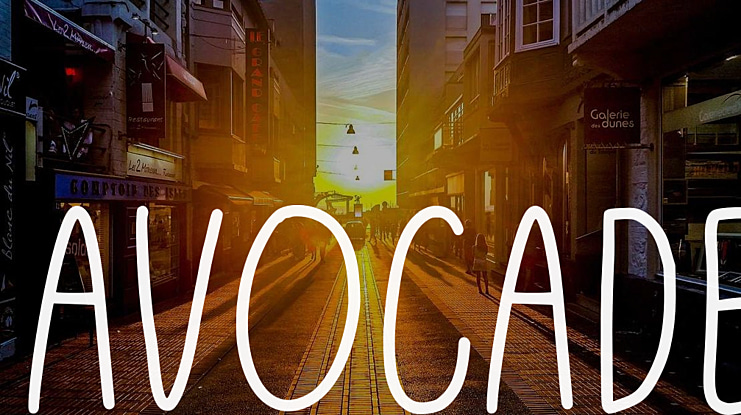 Avocade Font Family