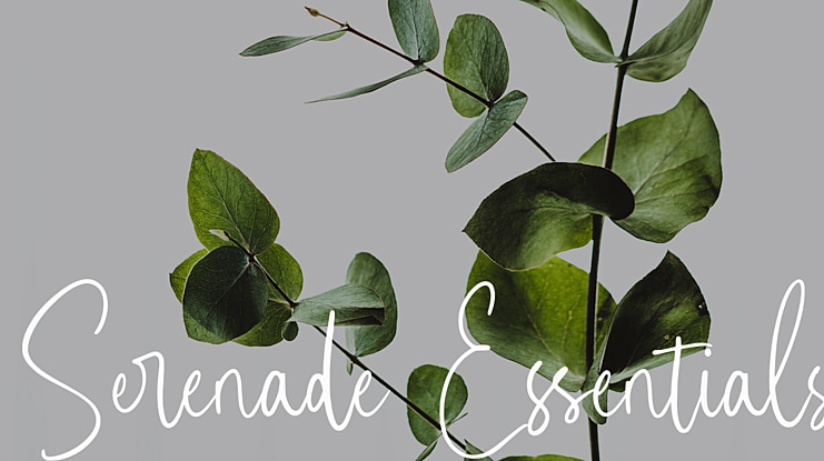 Serenade Essentials Font