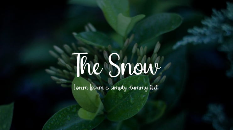 The Snow Font