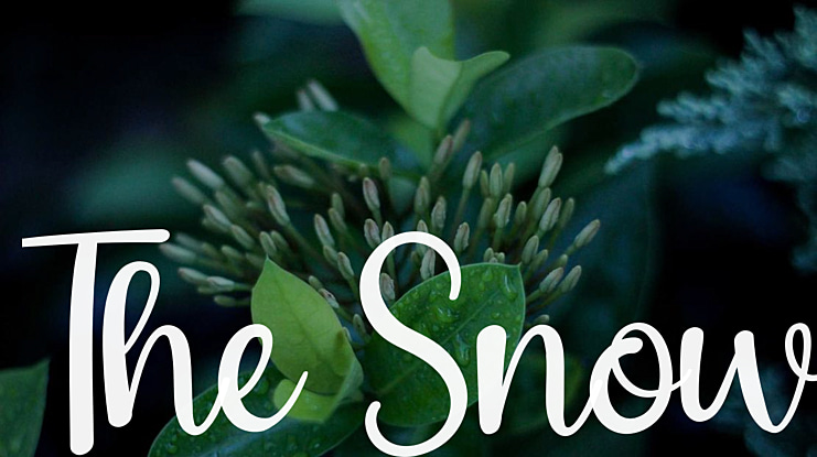 The Snow Font