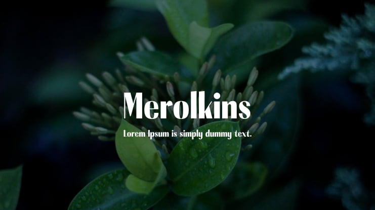 Merolkins Font