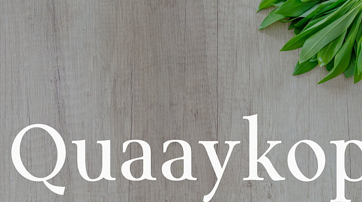 Quaaykop Font Family