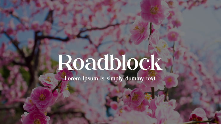 Roadblock Font Family
