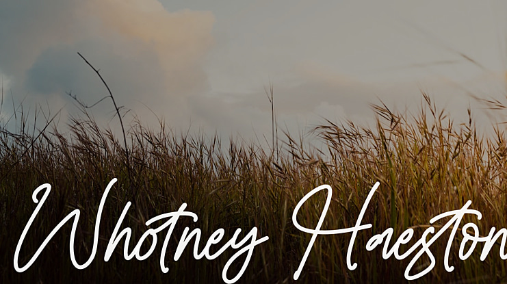 Whotney Haeston Font
