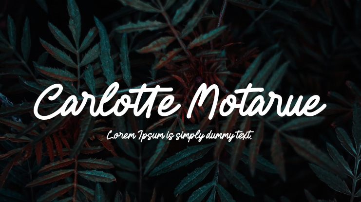 Carlotte Motarue Font