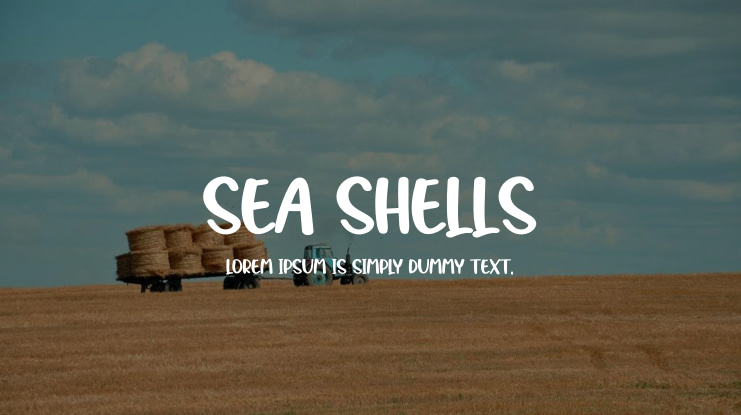 Sea Shells Font