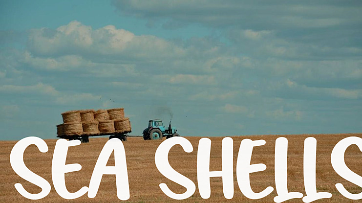 Sea Shells Font