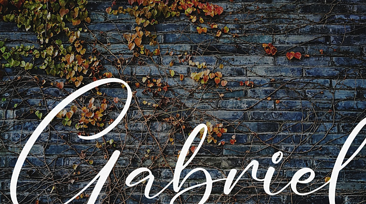 Gabriel Font