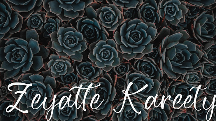 Zeyatte Kareety Font