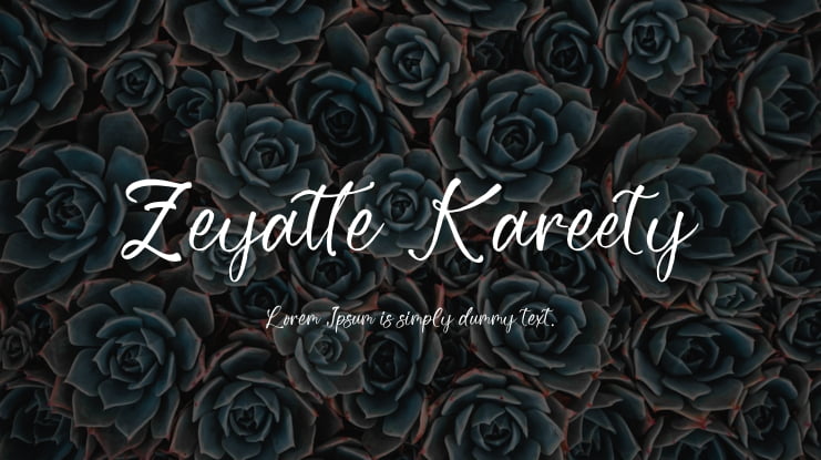 Zeyatte Kareety Font