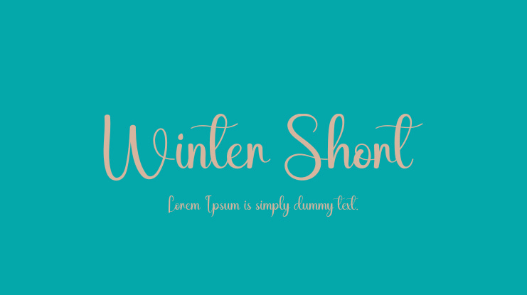 Winter Short Font