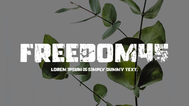 Freedom45 Font
