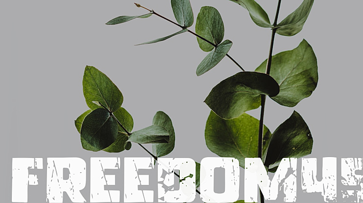 Freedom45 Font