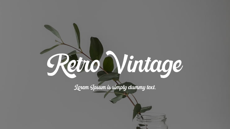 Retro Vintage Font Family