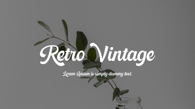 Retro Vintage Font Family