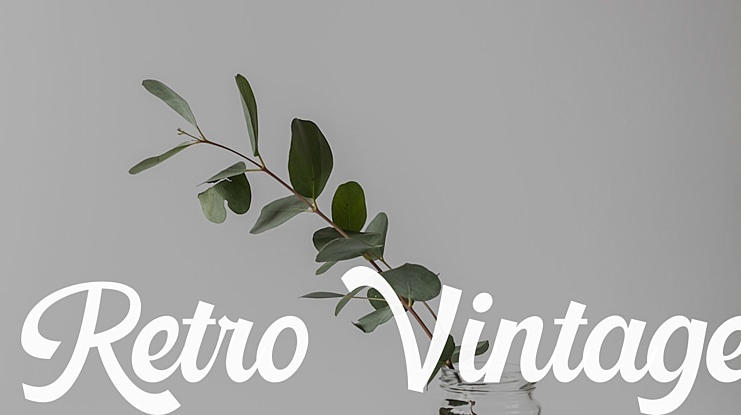 Retro Vintage Font Family