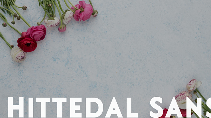 Hittedal Sans Font