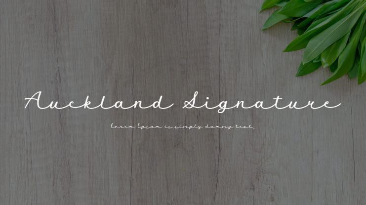 Auckland Signature Font