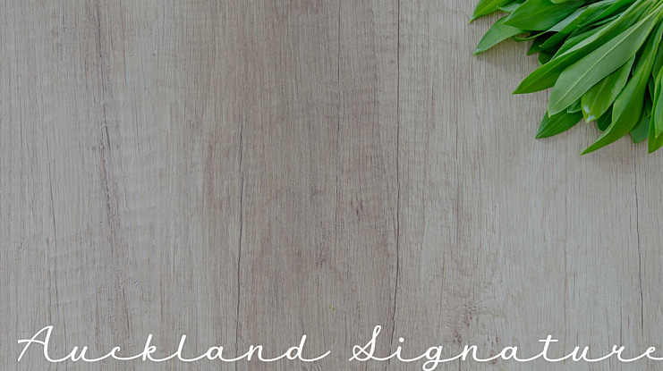 Auckland Signature Font