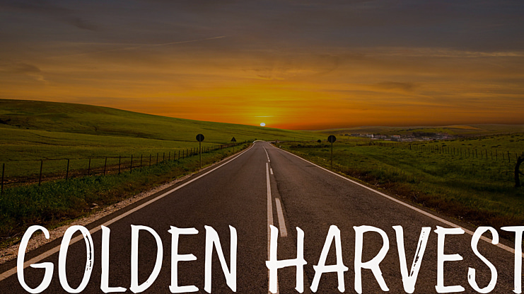 Golden Harvest Font