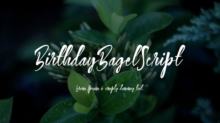 BirthdayBagelScript Font
