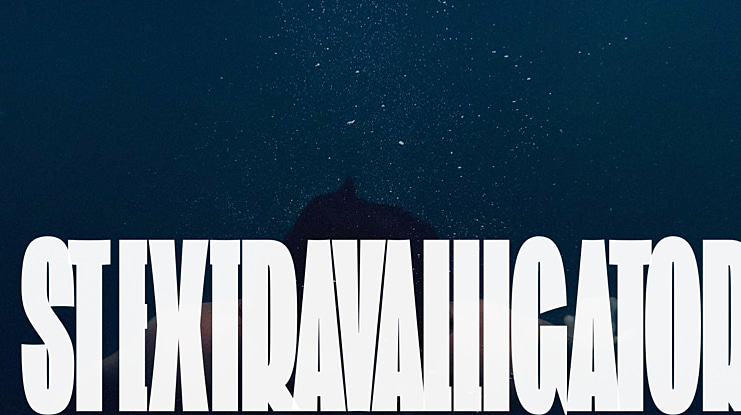ST Extravalligator Font